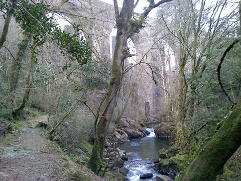 Ivybridge river walk